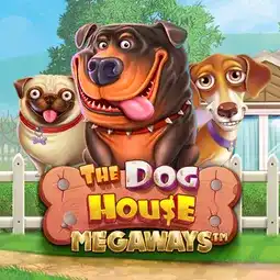 The Dog House Megaways game at Casino Purple for United Kingdom players The Dog House Megaways game at Casino Purple for United Kingdom players