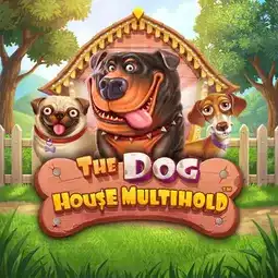 The Dog House Multihold game at Casino Purple for United Kingdom players The Dog House Multihold game at Casino Purple for United Kingdom players
